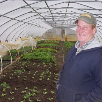 inside a greenhouse