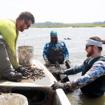Johnson Bay Oyster Company_PC Raye-Valion Gillette