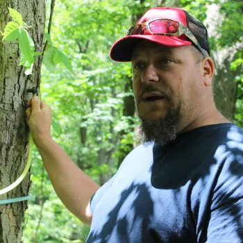 Split Acres Maple_PC Charish Bishop